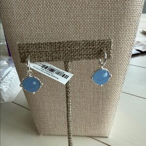 Elegant Silver and Blue Drop Earrings